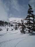 CA380204-0001_1.jpg